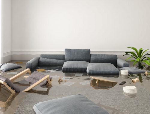 Hurricanes and Flood Insurance: What Every Florida Homeowner Should Know
